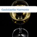 Bild Gaststaette Harmonie