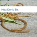 Bild Heu Doris, Dr.