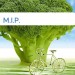 Bild M.I.P.