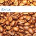 Bild Shilla