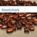 Bild Steelshark