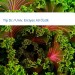 Bild Tip Dr./Univ. Erciyes Ali Özdil