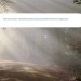Bild Zentrum f Energie - Atem & Bewusstheit Lebensschule Nach Prof Dr Kurt Tepperwein